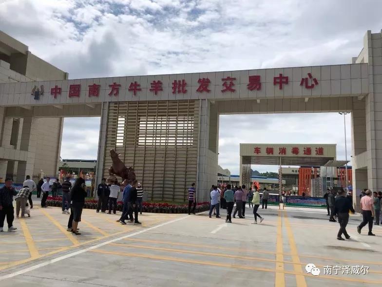 澤威爾參加中國南方牛羊批發(fā)交易市場開業(yè)展覽會(huì)