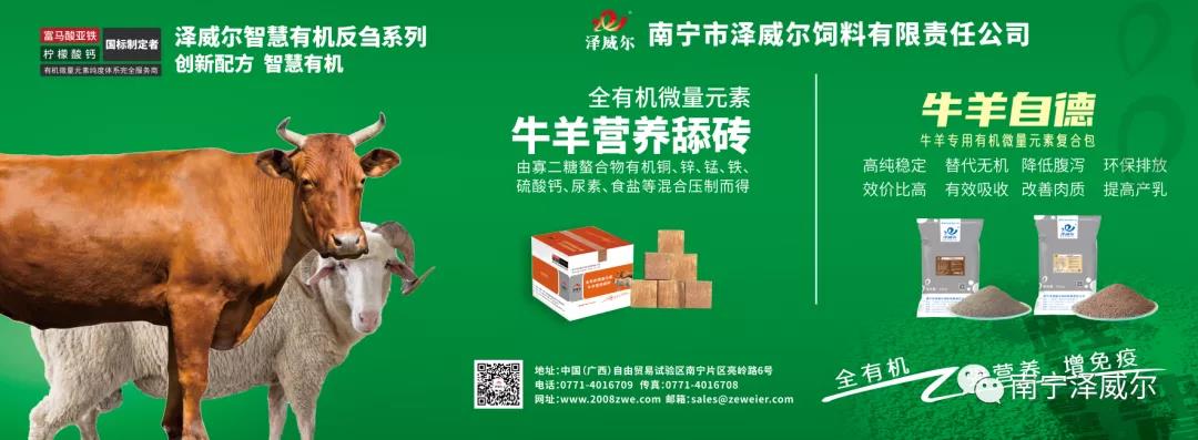 澤威爾參加中國南方牛羊批發(fā)交易市場開業(yè)展覽會(huì)