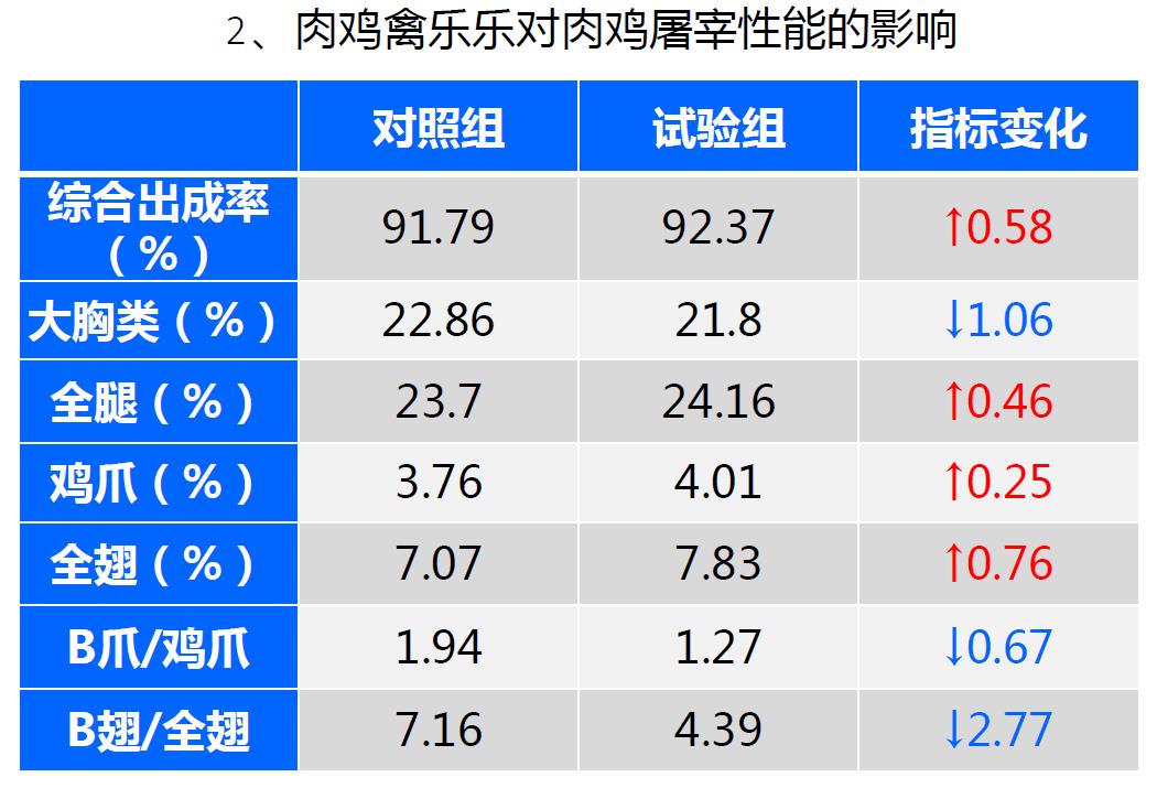 肉雞禽樂樂對(duì)肉雞屠宰性能影響