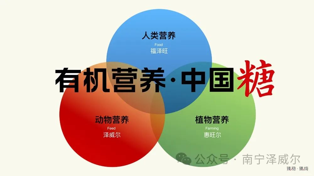 有機營養(yǎng)中國糖