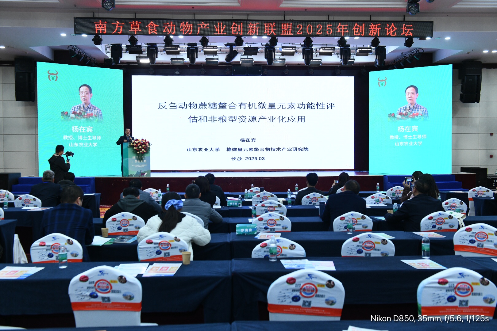 南方草食動(dòng)物產(chǎn)業(yè)創(chuàng)新聯(lián)盟2025創(chuàng)新論壇